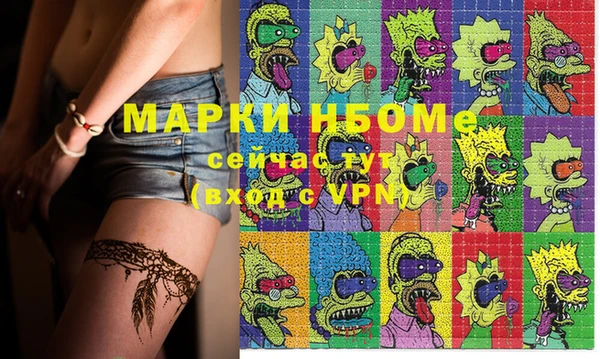 хмурый Вяземский