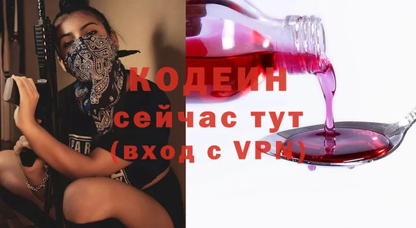 хмурый Вяземский
