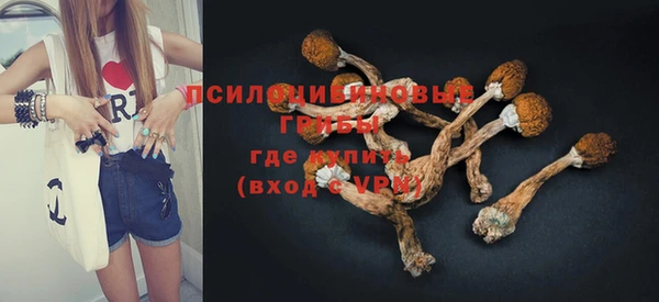 хмурый Вяземский