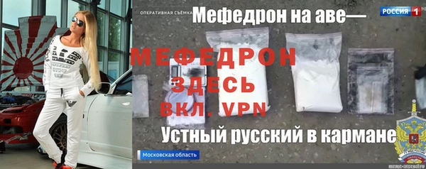 индика Горно-Алтайск