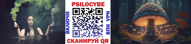 Псилоцибиновые грибы Psilocybe  наркота  Димитровград 